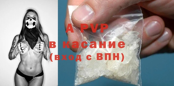 индика Гусиноозёрск