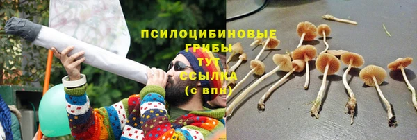 гидра Волосово