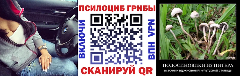 Псилоцибиновые грибы MAGIC MUSHROOMS  Лиски 